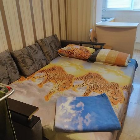 Appartement Солнечная à Kharkiv Extérieur photo